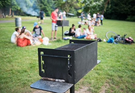 BBQ